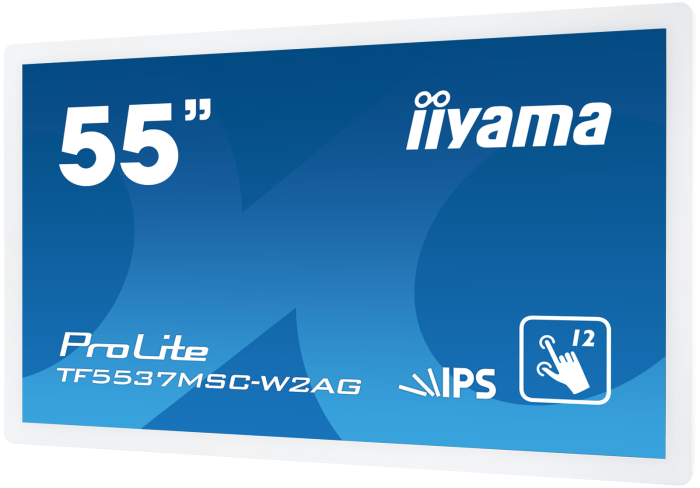 iiyama TF5537MSC-W2AG