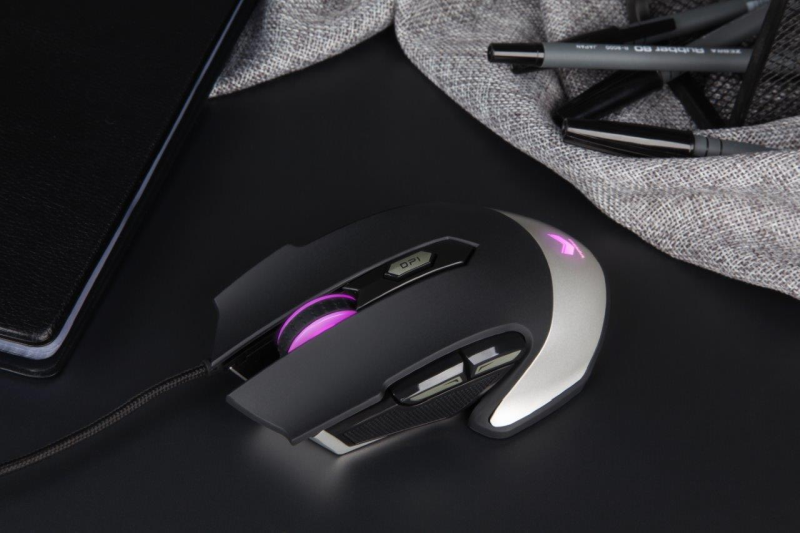 Rapoo-VPRO Gaming Optical Mouse V310_Scenario