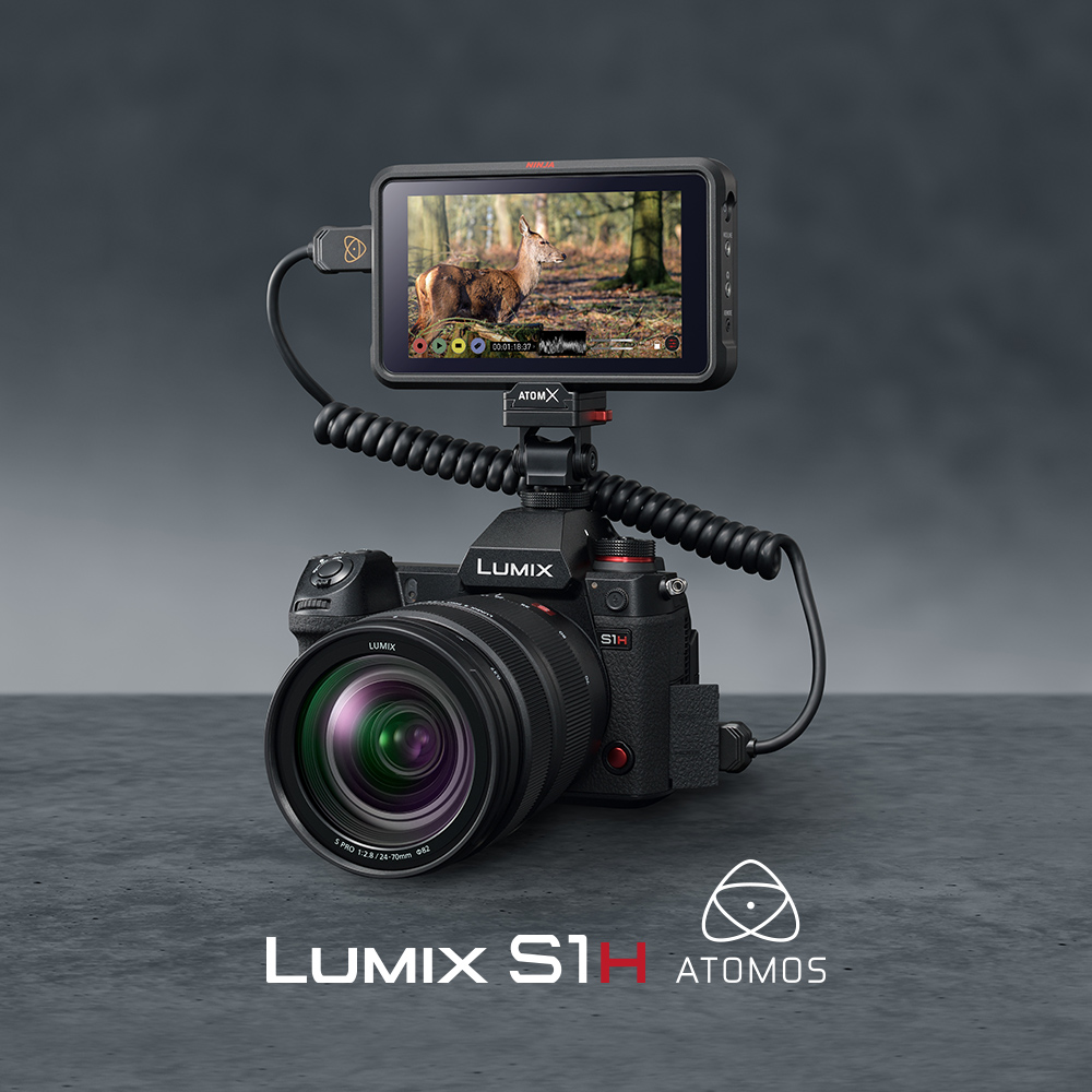 Lumix S1H